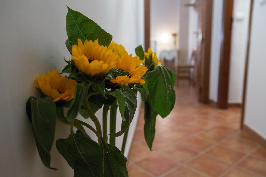 Casa Rural Migolla Osuna Eksteriør billede